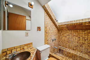 Full bathroom featuring a shower, toilet, and vanity
