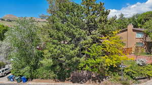 Exterior space