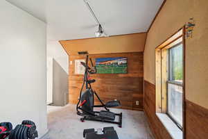 Workout area featuring wood walls and carpet flooring