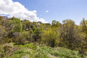 Photo 11 of 2141 E OAK LN