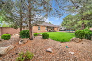 View of yard featuring a trampoline and a patio