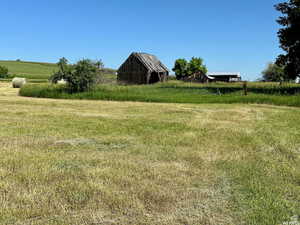 View of yard with a view of rural / pastoral area