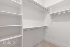 Spacious closet featuring carpet floors