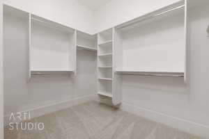 Spacious closet featuring carpet floors