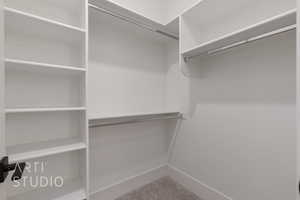 View of walk in closet