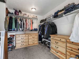 Walk in closet with carpet.