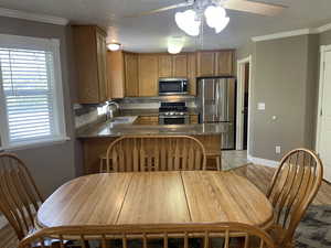 Kitchen featuring appliances with stainless steel finishes, a sink, ceiling fan, decorative backsplash, and a peninsula