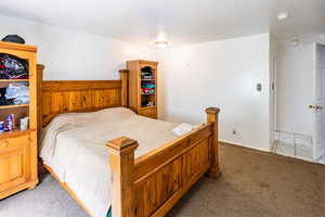 Master Bedroom featuring carpet floors