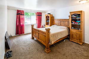 Master Bedroom with carpet floors