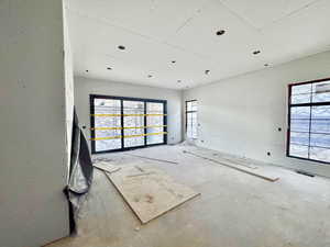 Spare room featuring plenty of natural light
