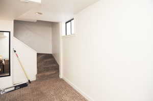 Basement family room