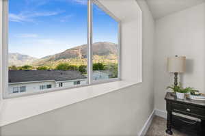 Detailed view of a mountain view, baseboards, and carpet