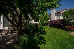 View of green lawn