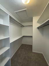Spacious closet featuring attic access and dark colored carpet