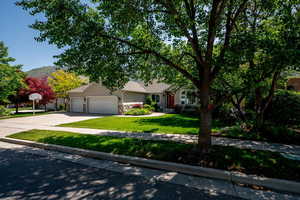 View of property hidden behind natural elements with an attached garage, a front lawn, concrete driveway, stone siding, and stucco siding