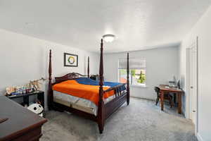 Bedroom featuring carpet floors, a textured ceiling, and baseboards