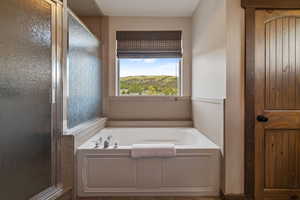 Full bath featuring a bath and a shower stall