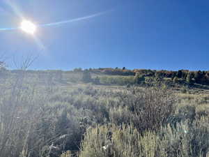 View of property