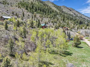 View of subject property with a mountain backdrop and a forest