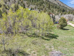 Drone / aerial view of a heavily wooded area and a mountain backdrop