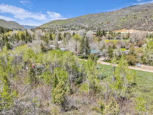View of mountain background