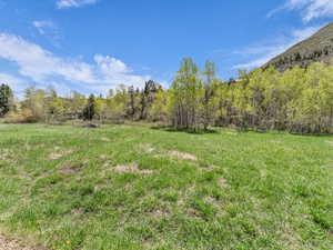 View of yard featuring a view of trees