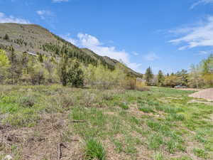 View of mountain background