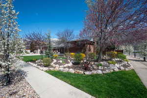 View of community with a lawn