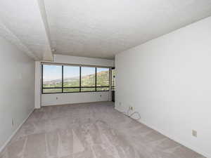 Empty room featuring a textured ceiling, light carpet, and baseboards