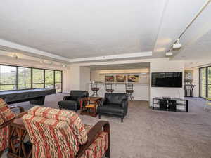 Sky Room living room featuring carpet, billiards, a textured ceiling, and rail lighting