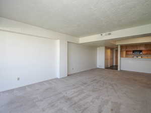 Unfurnished living room featuring light colored carpet and a textured ceiling