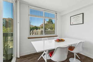 Dining space with baseboards and dark wood-type flooring