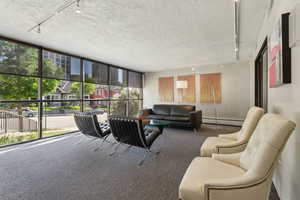 Carpeted living area featuring track lighting, a baseboard radiator, healthy amount of natural light, a textured ceiling, and expansive windows