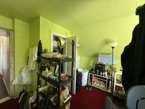 Miscellaneous room featuring carpet and lofted ceiling