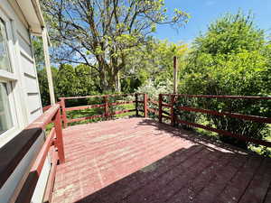 Outside of Kitchen-Deck