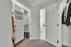 Walk in closet with carpet