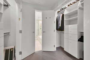 Walk in closet featuring carpet