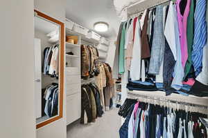 Spacious closet featuring carpet