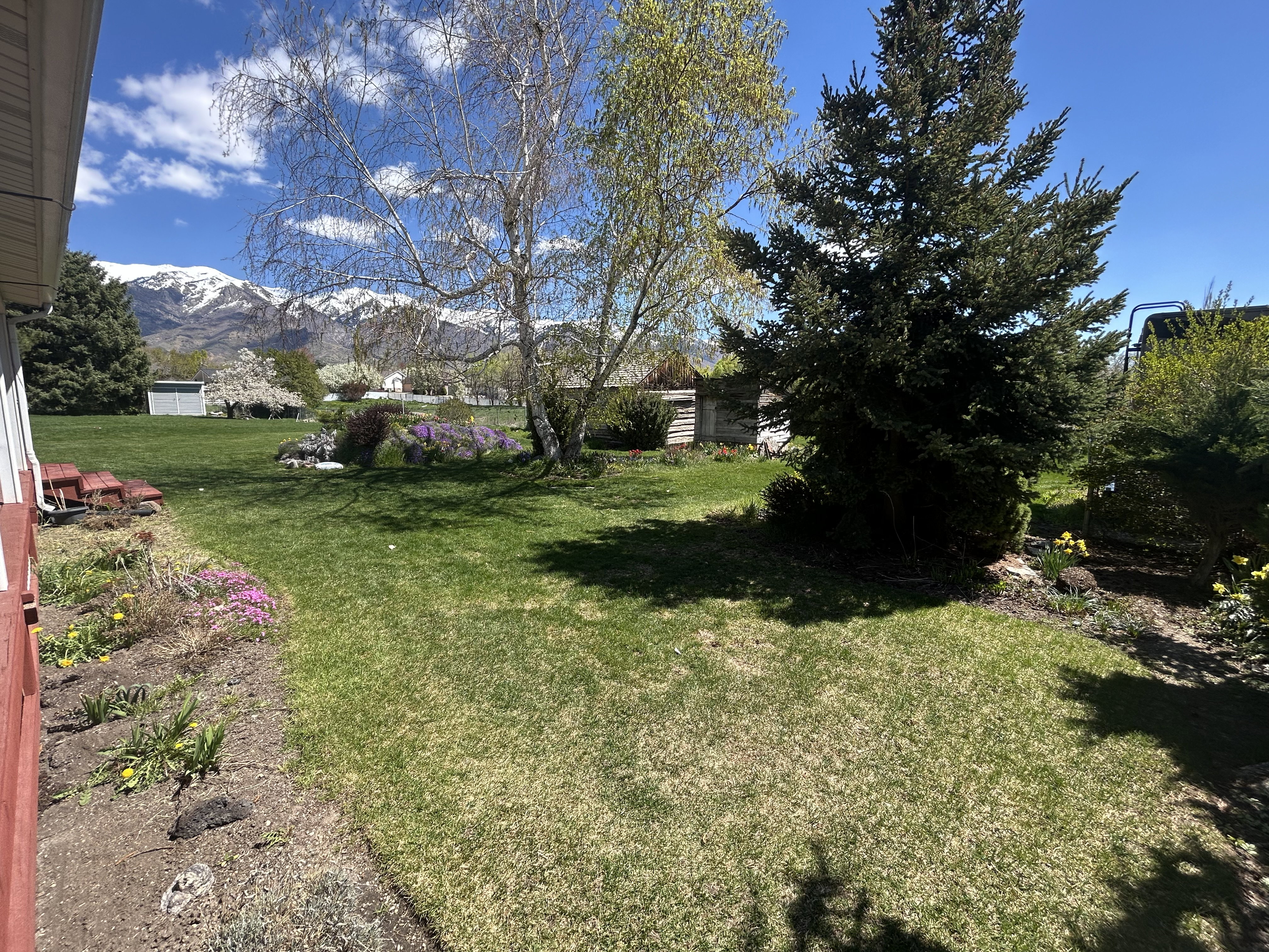 View of green lawn with a mountain view