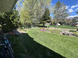 View of grassy yard