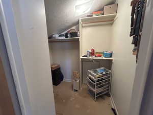 Walk in closet featuring vaulted ceiling