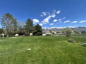 View of green lawn with a mountain view