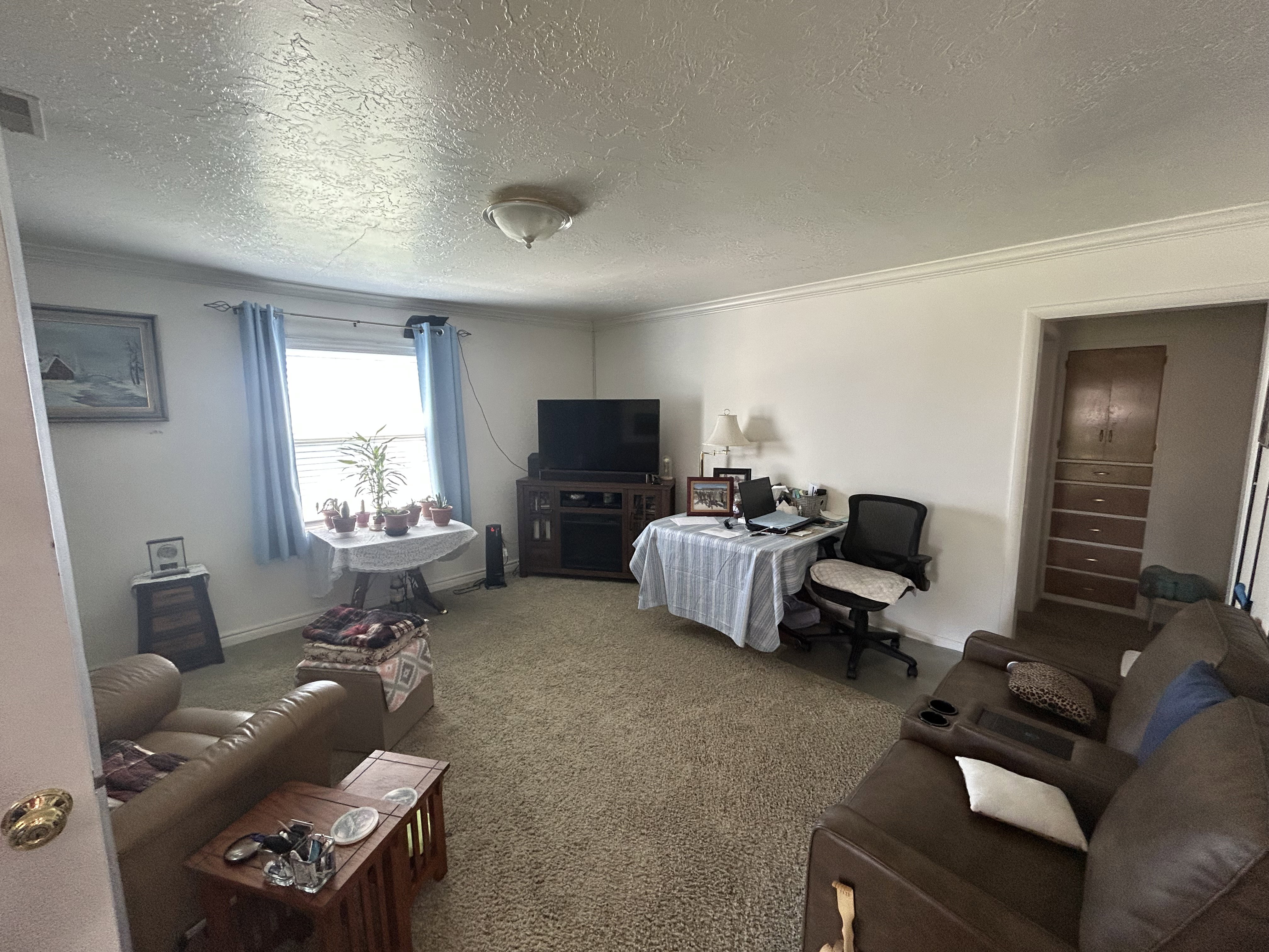Carpeted living area with a textured ceiling, crown molding, and baseboards