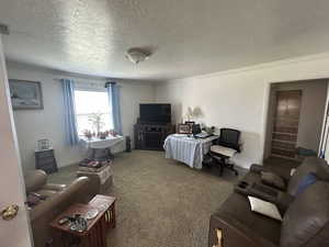 Carpeted living area with a textured ceiling, crown molding, and baseboards