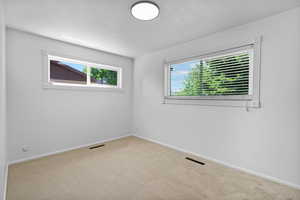 Carpeted spare room featuring healthy amount of natural light and baseboards