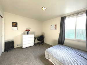 Bedroom featuring a wood stove and carpet flooring