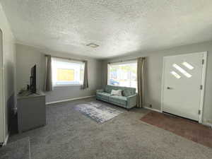 Living room featuring carpet floors, a textured ceiling, and baseboards