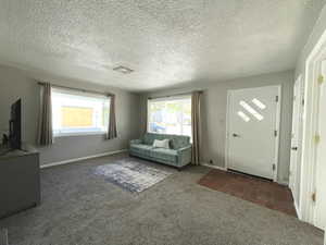 Carpeted living room featuring baseboards and a textured ceiling