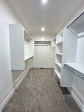 Walk in closet with carpet floors