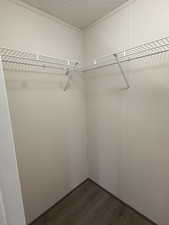 Walk in closet featuring dark wood-type flooring